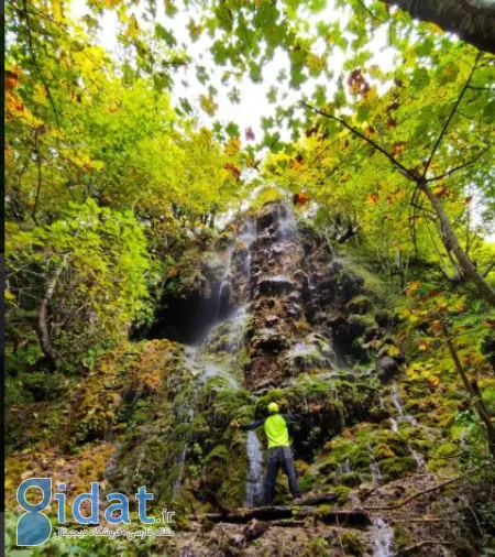 عکس آبشار سیاسرت رامسر, مسیر دسترسی آبشار سیاسرت