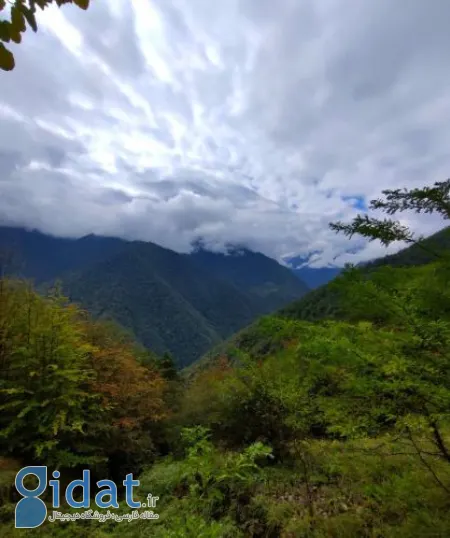 عکس آبشار سیاسرت رامسر, مسیر دسترسی آبشار سیاسرت