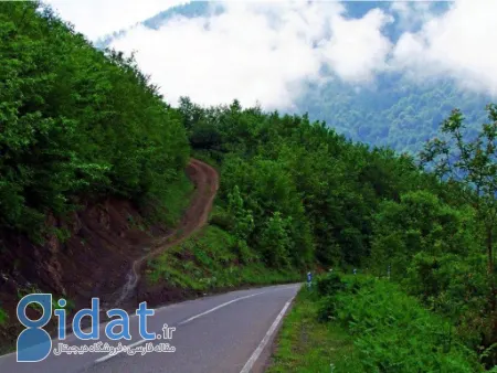 عکس آبشار سیاسرت رامسر, مسیر دسترسی آبشار سیاسرت