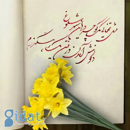 شعر تک بیتی, تک بیت در شعر فارسی