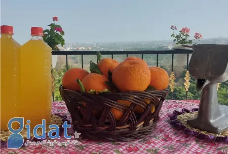 نگهداری طولانی مدت آب نارنج, خواص آب نارنج و نگهداری
