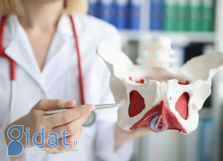 لرزش مرموز لگن؛ علل پنهان و درمان های سریع!