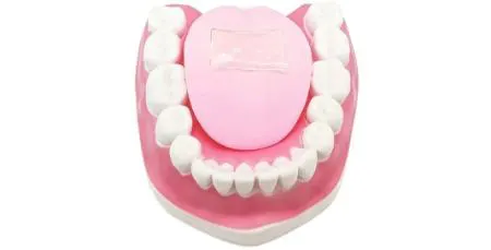 زبان مصنوعی،اخبار علمی،خبرهای علمی