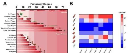 زبان مصنوعی،اخبار علمی،خبرهای علمی