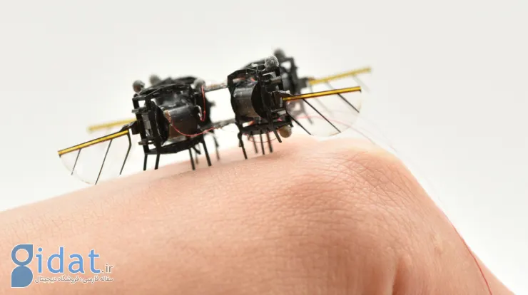 زنبور آهنی دانشگاه MIT به کمک می‌آید