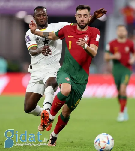 آشنایی با بیوگرافی برونو فرناندز