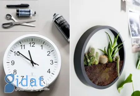 تزیین با کاکتوس, چیدمان کاکتوس