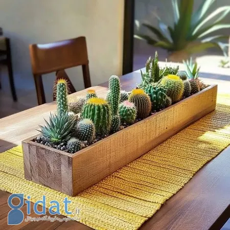 تزیین با کاکتوس, چیدمان کاکتوس