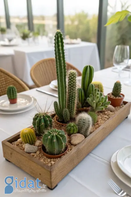 تزیین با کاکتوس, چیدمان کاکتوس