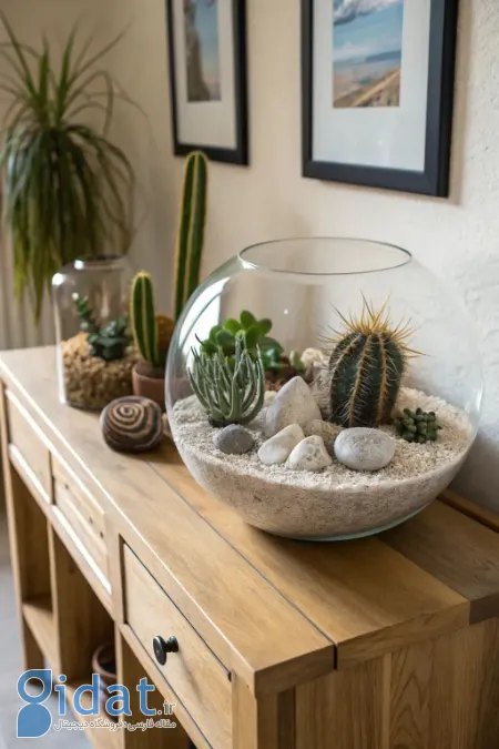 تزیین با کاکتوس, چیدمان کاکتوس