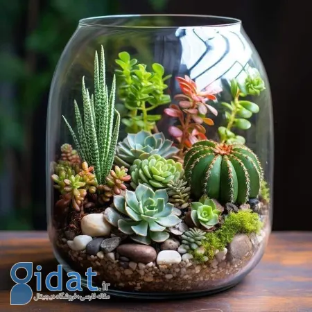 تزیین با کاکتوس, چیدمان کاکتوس