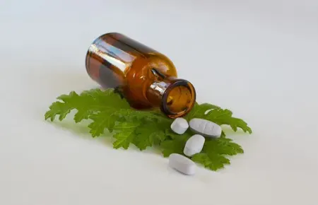 افزایش کلسیم در گیاهان, کمبود کلسیم در گیاهان آپارتمانی