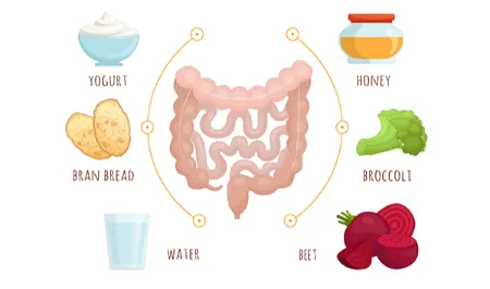 چهار گروه غذایی کلیدی برای ترمیم روده و کنترل التهاب مزمن