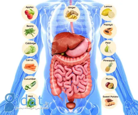 غذاهای مفید برای روده, تغذیه سالم برای کاهش التهاب روده