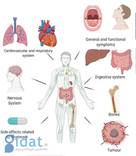 گلوکوکورتیکوئیدها, عملکرد گلوکوکورتیکوئیدها