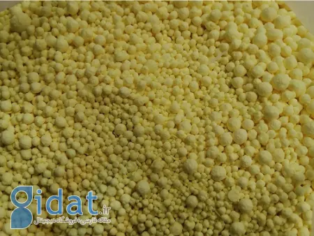 چرا گوگرد گرانوله بهترین انتخاب برای کشاورزان باهوش است؟