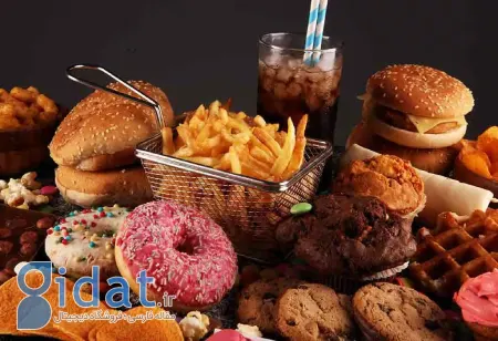 غذاهای چرب و پرکالری