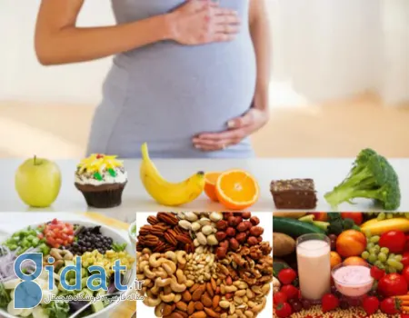 تأثیر کمبود پروتئین بر رشد اندام‌های حیاتی جنین