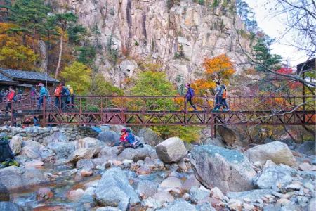 جاذبه‌های گردشگری پارک سورکسان, طبیعت پارک ملی سورکسان