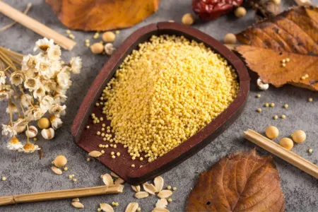 چگونه ارزن را تازه و سالم نگه داریم؟ راهنمای کامل نگهداری ارزن
