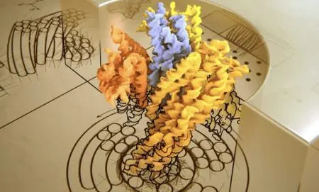 ساخت نوعی نانو توربین از DNA