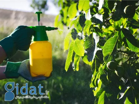 بهترین زمان سم‌پاشی نهال, زمان سم‌پاشی درخت میوه