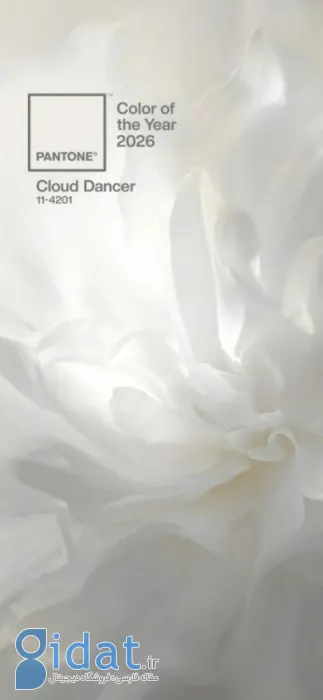 آشنایی با رنگ مد سال ۲۰۲۶