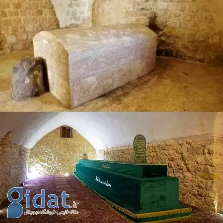 چرا حضرت موسی حضرت یوسف را نیش قبر کرد