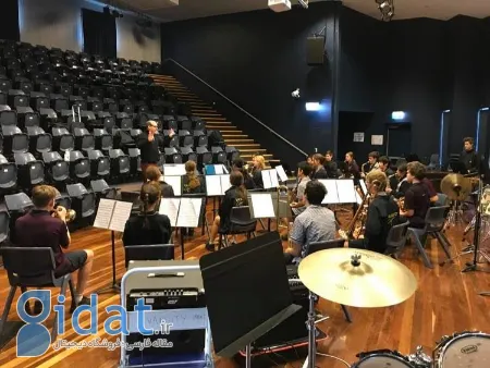 با نوازندگی ساز جهانی به دنیای موسیقی کلاسیک قدم بگذارید!