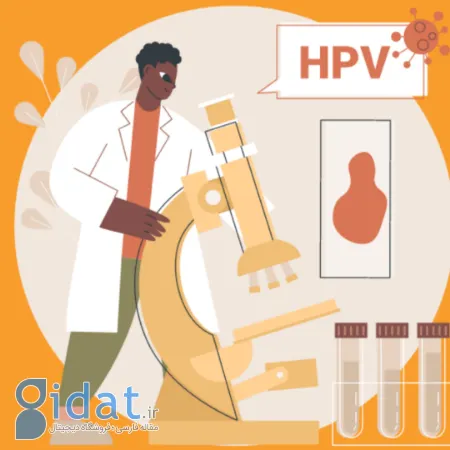 HPV در مردان چیست, خطر HPV برای مردان
