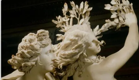 روش نگهداری گیاه برگ بو, نگهداری برگ بو در گلدان