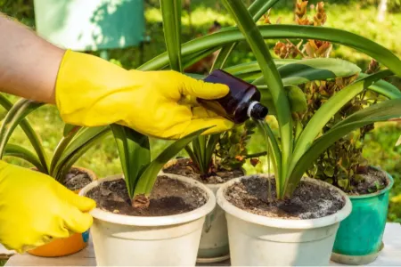 مزایای کود نیتروژن مایع, روش استفاده کود نیتروژن مایع