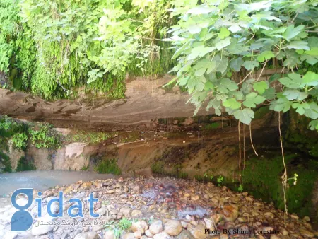 آبشار ماربره, آبشار ماربره ایلام
