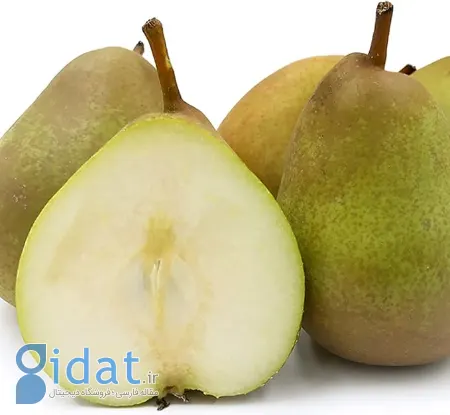 کاشت درخت گلابی: راهنمای قدم‌به‌قدم برای موفقیت در باغبانی