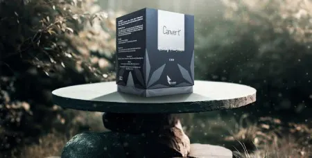 استفاده از کانابیدیول یا CBD برای دردهای عضلانی