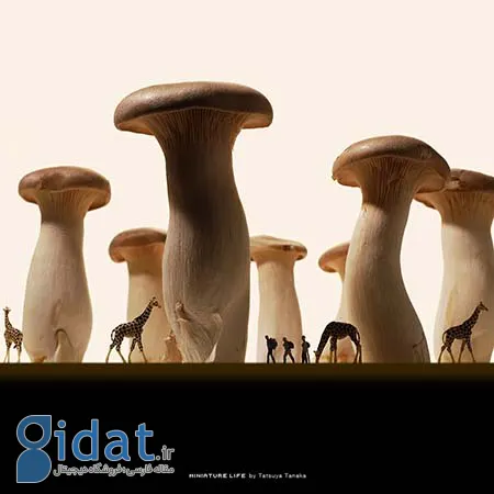 آثار تاتسویا تاناکا, خلاقیت در هنر مینیاتوری ژاپن