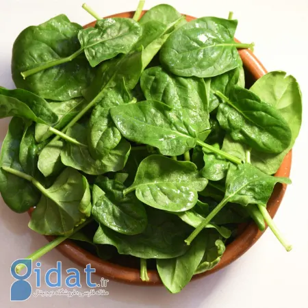 سبزیجات سرشار از منیزیم, رژیم غذایی سرشار از منیزیم