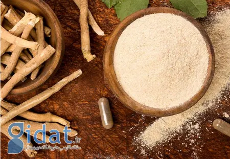 خواص درمانی آشواگاندا؛ گیاهی باستانی با فواید امروزی