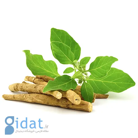 آشواگاندا, دوز مصرف آشواگاندا