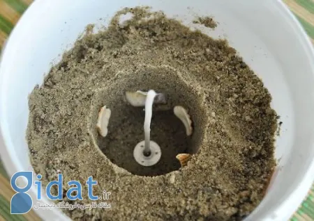 ساخت شمع ماسه‌ ای,آموزش ساخت شمع ماسه‌ ای,آموزش ساخت شمع ماسه ای زیبا