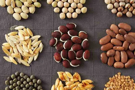 خلوص ژنتیکی بذر, آزمایش بذر