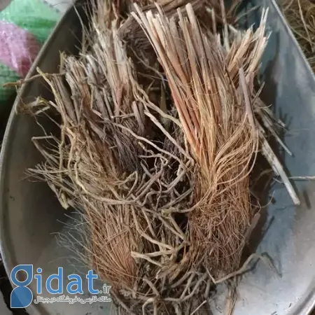 اذخر مکی, روغن اذخر مکی