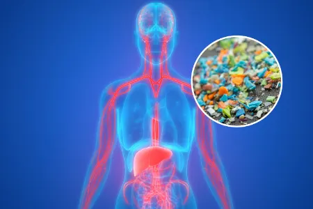 دفع میکروپلاستیک‌ها از بدن, چگونه میکروپلاستیک‌ها را از بدن خارج کنیم