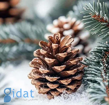 متن سنگین, جملات سنگین