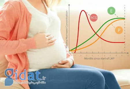 هورمون‌ها و احساسات: علم پنهان بارداری