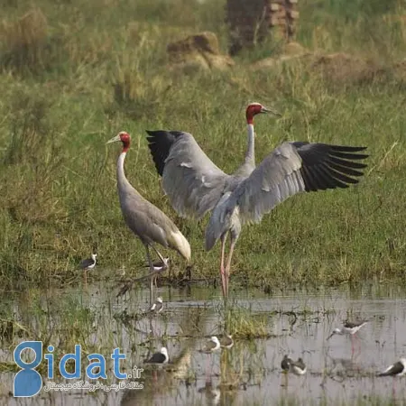 kaladu-national-park-india-3