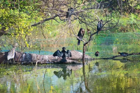 kaladu-national-park-india-8