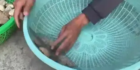 آموزش ساخت گلدان بزرگ, گلدان بتنی