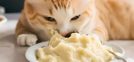 ذای نرم برای بچه گربه,پخت سیب زمینی برای گربه
