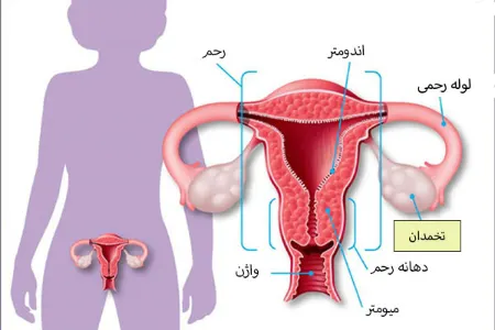 ماساژ درمانی و بارداری